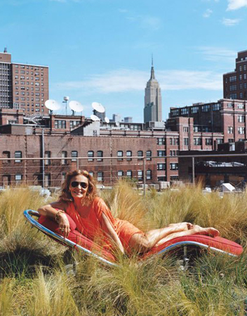 Diane Von Furstenberg Manhattan Penthouse