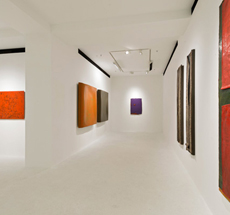 Pearl Lam galleries