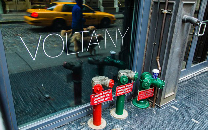 Volta NY gallery . New York . USA